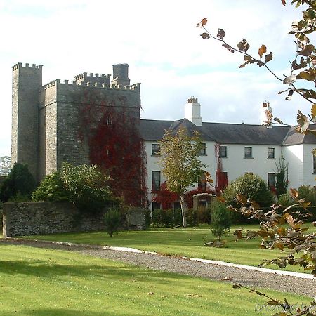 Barberstown Castle Hotel Straffan Exterior foto