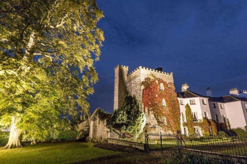 Barberstown Castle Hotel Straffan Exterior foto