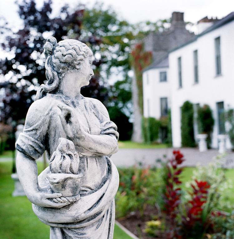 Barberstown Castle Hotel Straffan Exterior foto